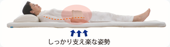 株式会社オーシン | 製品紹介 | 温熱腰まくら／ムレない腰まくら